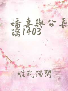 娇妻与公长篇瑶瑶1403