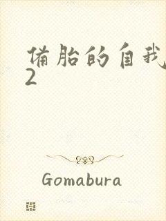 备胎的自我修养2