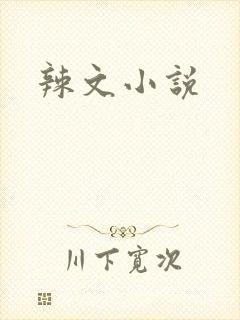 辣文小说