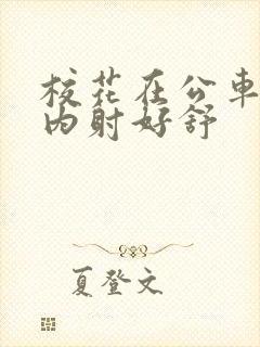 校花在公车上被内射好舒