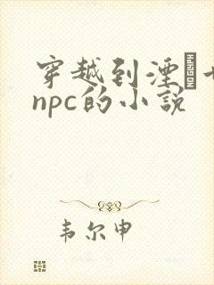 穿越到湮婸世界npc的小说