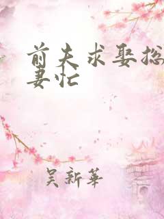 前夫求娶总裁追妻忙