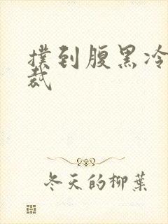 扑到腹黑冷面总裁