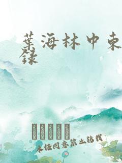 叶海林中东风云录