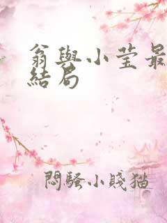 翁与小莹最新大结局