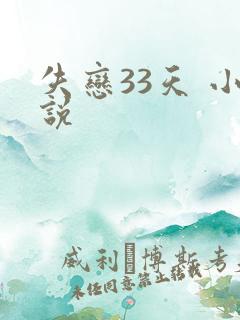 失恋33天 小说