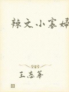 辣文小寡妇