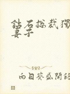 钻石总裁独宠小妻子