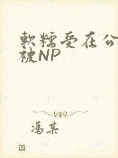 软糯受在公交车被NP