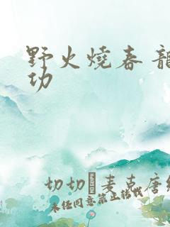 野火烧春 龙鸣功