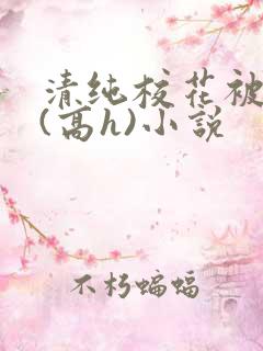 清纯校花被调教(高h)小说