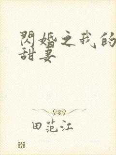 闪婚之我的惹火甜妻