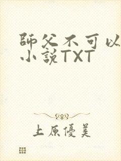 师父不可以灵犀小说TXT