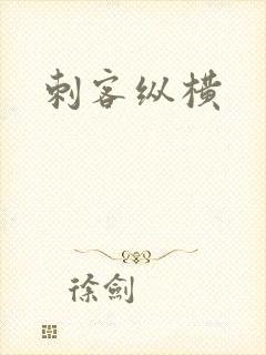 刺客纵横