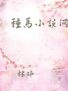种马小说网