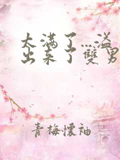 太满了...溢出来了双男动漫