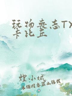 玩物丧志TXT卡比丘