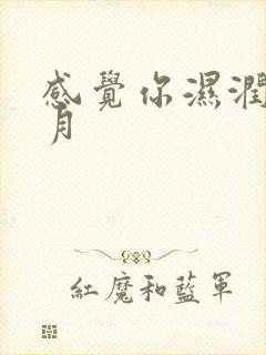 感觉你湿润我四月