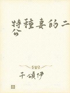 特种妻的二手老公