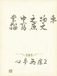 掌中之物车里震描写原文