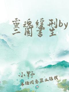 灵魂缓刑by 二团书生