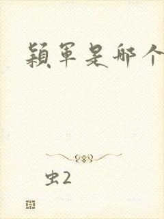 颖军是哪个军阀