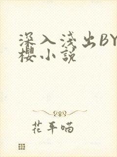 深入浅出BY胖樱小说