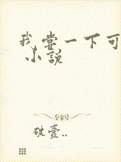 我尝一下可以吗 小说