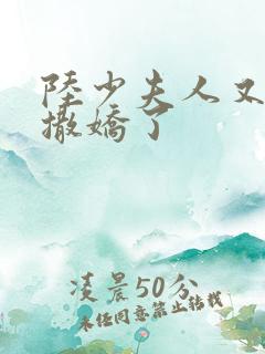 陆少夫人又双叒撒娇了