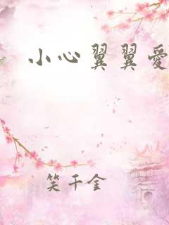 小心翼翼爱上你