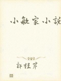 小敏家小说