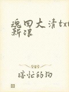 魂回大清txt新浪