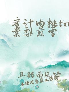 蜜汁肉桃txt棠梨煎雪