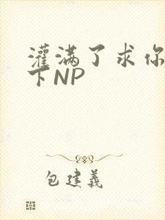 灌满了求你们停下NP