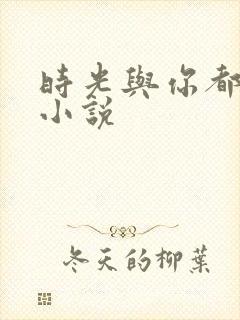 时光与你都很甜小说