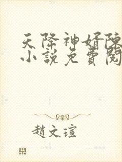 天降神婿陈黄皮小说免费阅读