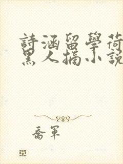 诗涵留学荷兰被黑人摘小说