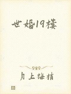 世婚19楼