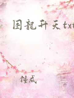 困龙升天txt