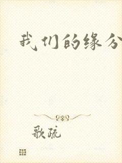 我们的缘分小说