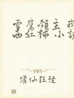 雪鹰领主 我吃西红柿 小说