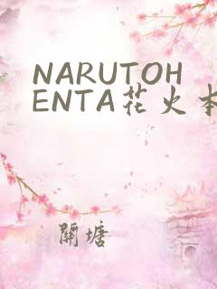NARUTOHENTA花火本子