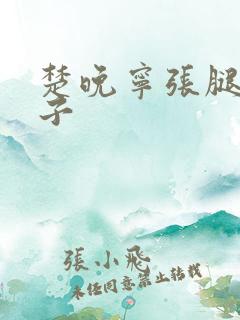 楚晚宁张腿放棋子