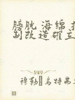 膀胱 海绵 控制改造确立m