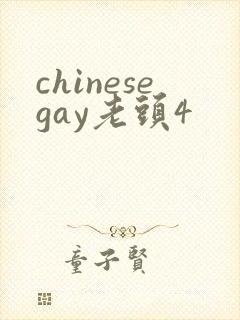 chinesegay老头4