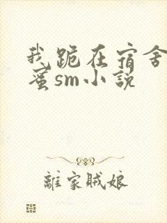 我跪在宿舍被闺蜜sm小说