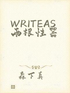 WRITEAS两根性器