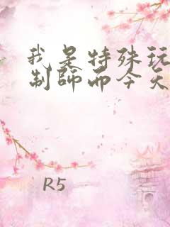 我是特殊玩具定制师而今天的客户