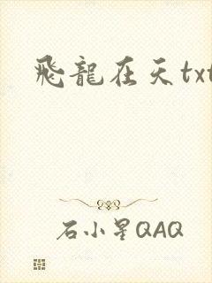飞龙在天txt