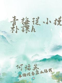 青梅从小摸到大补课h